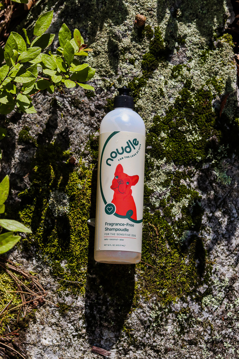 Fragrance Free Shampoudle Full Size