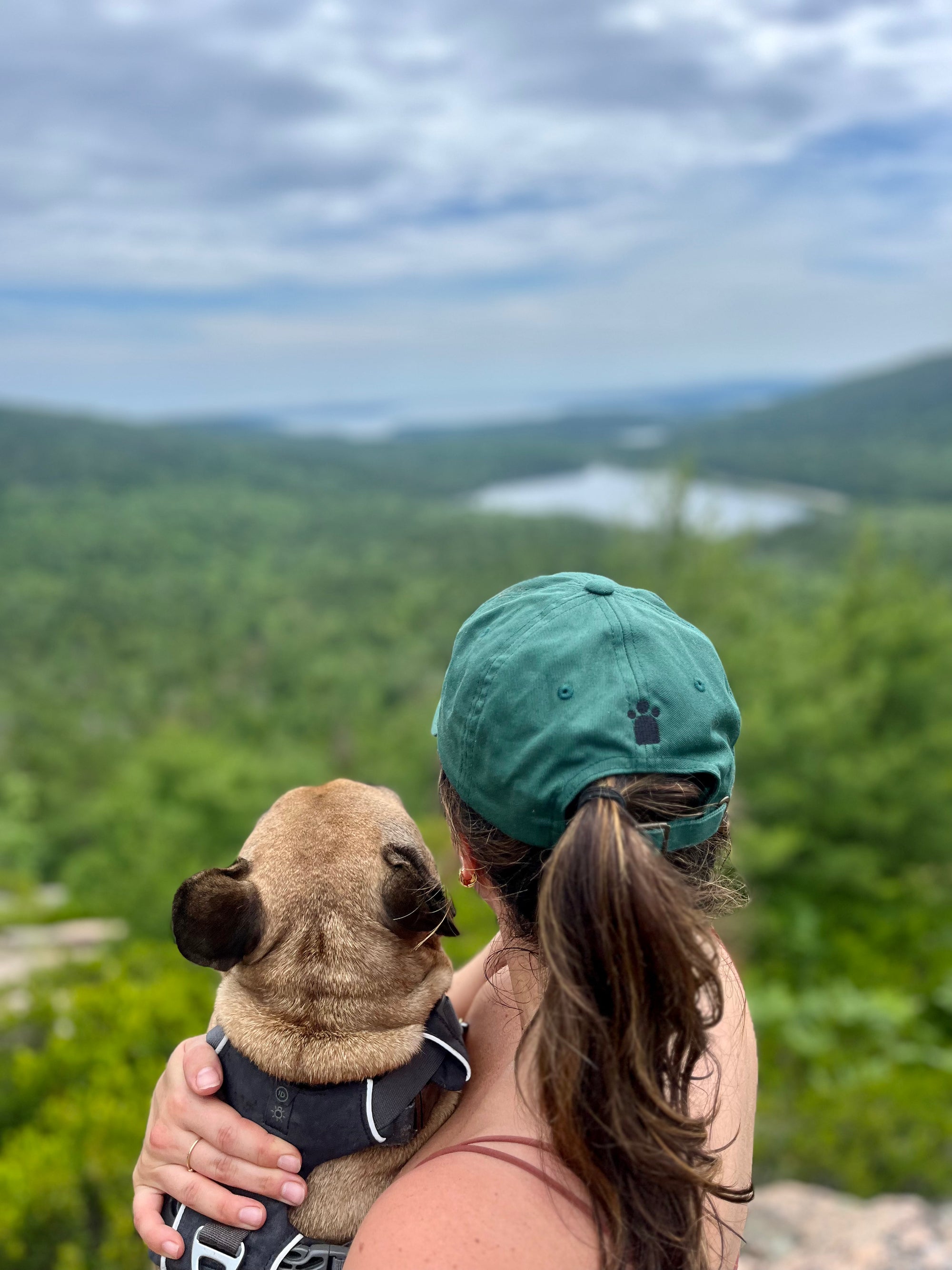 My Dog is my Spirit Animal